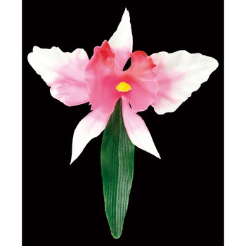 DR-66H ���� DX�J�g���A �J���g 18278347