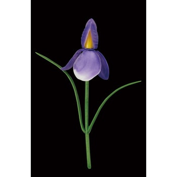 造花 アヤメ カモト