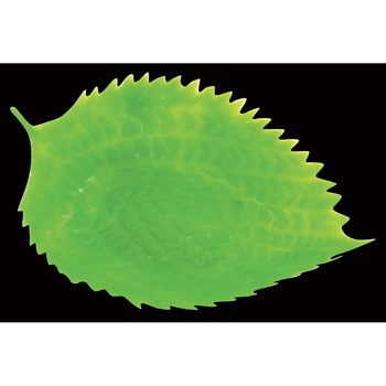 KK-42 ���� �V�\�̗t �J���g 18278724