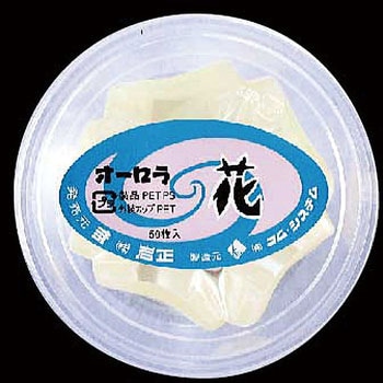 オーロラ 梅花 岩正