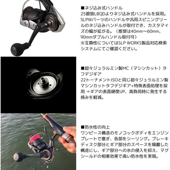 25 銀狼 LBQD DAIWA(ダイワ)
