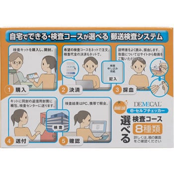 e-セルフチェッカー DEMECAL 血液検査システム 1個 大木製薬 【通販