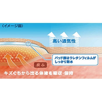 ケアリーヴ治す力 ニチバン