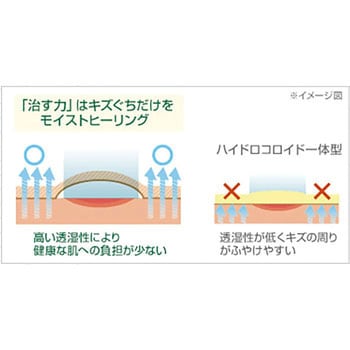 ケアリーヴ治す力 ニチバン