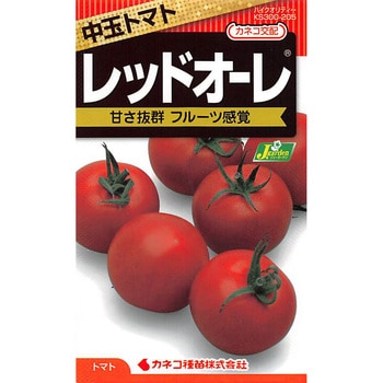【タネ】中玉トマト レッドオーレ カネコ種苗
