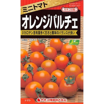 【タネ】ミニトマト オレンジパルチェ カネコ種苗