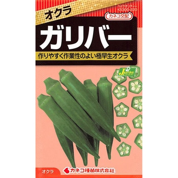 【タネ】オクラ ガリバー カネコ種苗