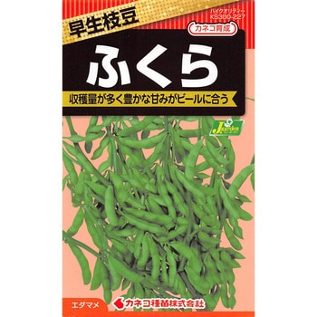 【タネ】早生枝豆 ふくら カネコ種苗