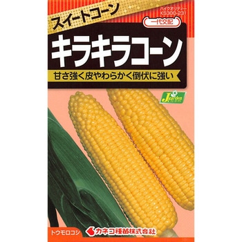 【タネ】キラキラコーン カネコ種苗