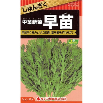 【タネ】しゅんぎく 中葉新菊 早苗 - カネコ種苗