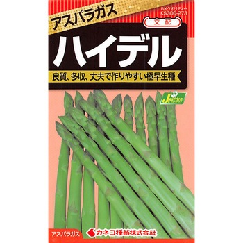 【タネ】アスパラガス ハイデル カネコ種苗