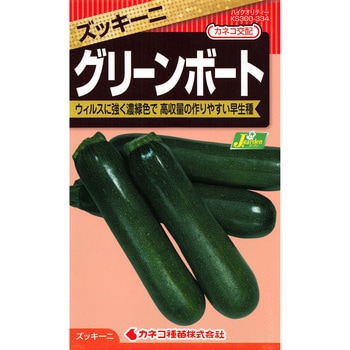 【タネ】ズッキーニ グリーンボート - カネコ種苗