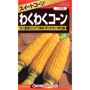 【タネ】スイートコーン わくわくコーン カネコ種苗