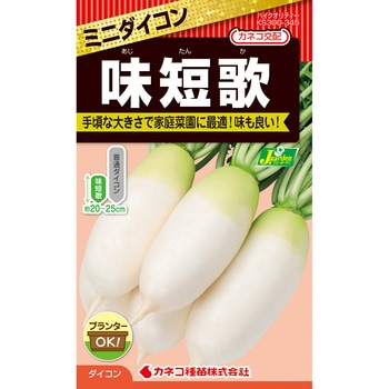 【タネ】ダイコン 味短歌 カネコ種苗