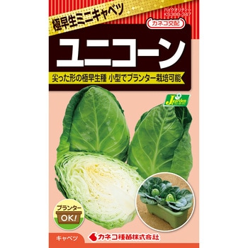 【タネ】キャベツ ユニコーン カネコ種苗