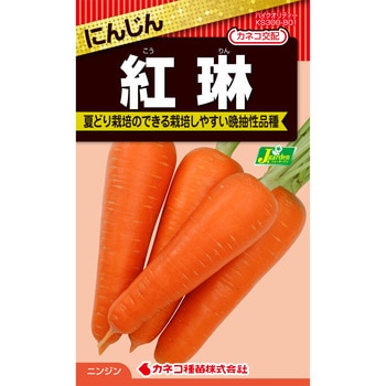 【タネ】にんじん 紅琳 - カネコ種苗