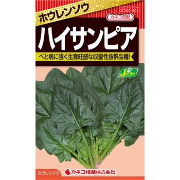 【タネ】ほうれんそう ハイサンピア カネコ種苗
