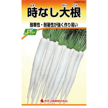 【タネ】時なし大根 カネコ種苗