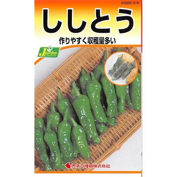 【タネ】ししとう カネコ種苗