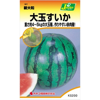 【タネ】大玉すいか 新大和 カネコ種苗