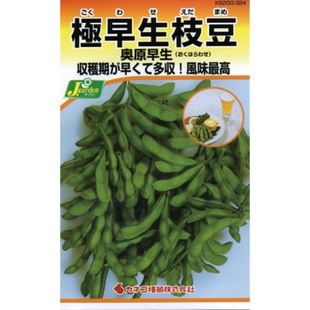 【タネ】極早生枝豆 奥原早生 カネコ種苗