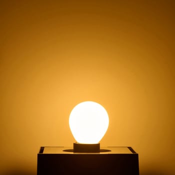 フィラメントLED電球S形ミニW 長寿命設計 飛散防止コーティング採用 クリアタイプ エジソンランプ 電球色 ELPA