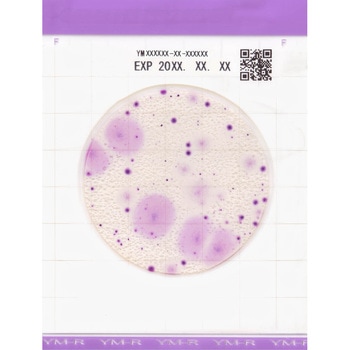 微生物検査用フィルム培地 Easy Plate(Medi・Ca) キッコーマン