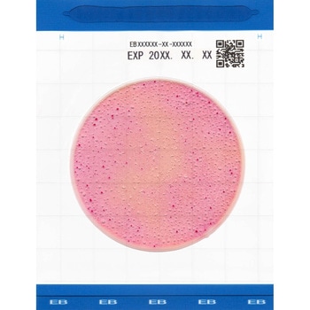 微生物検査用フィルム培地 Easy Plate(Medi・Ca) キッコーマン