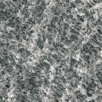 H050A047A(100) ePTFEutB^ AhoebN a47mmEa0.5m 1(100) 18349585