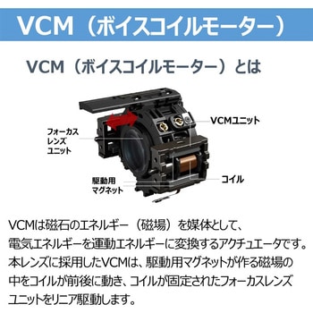 交換レンズ RF20mm F1.4 L VCM Canon