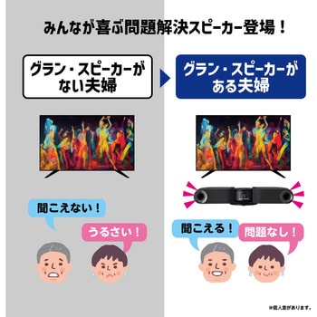 グラン・スピーカー ドウシシャ