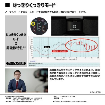 グラン・スピーカー ドウシシャ