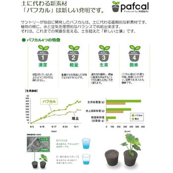 観葉植物 GREET ミドリエデザイン