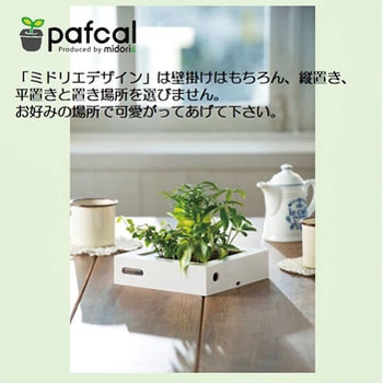 観葉植物 FRAME ミドリエデザイン