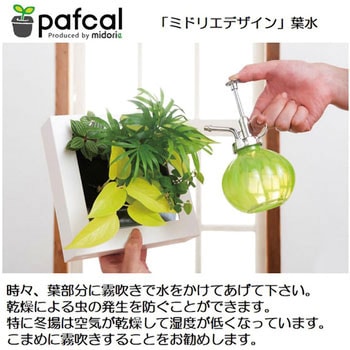 観葉植物 FRAME ミドリエデザイン