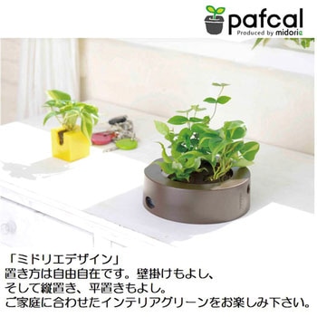 観葉植物 GREEN FRAME 給水ボトル付 ミドリエデザイン