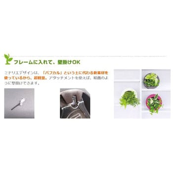 観葉植物 GREEN FRAME 給水ボトル付 ミドリエデザイン