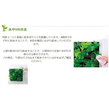 観葉植物 GREET ミドリエデザイン