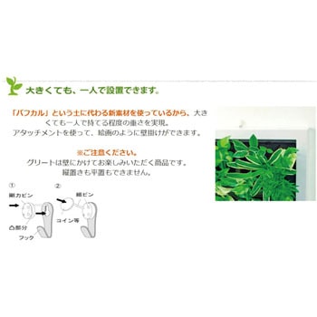 観葉植物 GREET ミドリエデザイン