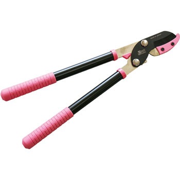 1202 �U�N�g ���}���� �O�z����(ERBA) 18414184