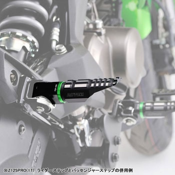 PREMIUM ZONE パッセンジャー側ステップ DAYTONA(デイトナ)
