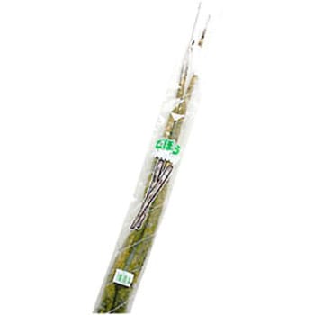 NEW新鮮パック ごぼう2 精工
