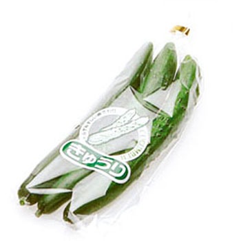 新鮮パック きゅうり 精工 野菜袋 【通販モノタロウ】