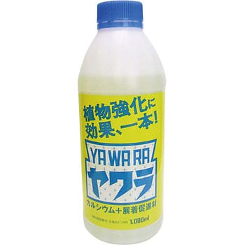ヤワラ アグリボ