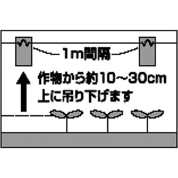 ホリバー アリスタライフサイエンス