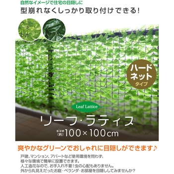 リーフラティス 約100×100cm YAMAZEN(山善)