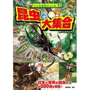 昆虫大集合 永岡書店 児童書 絵本 通販モノタロウ