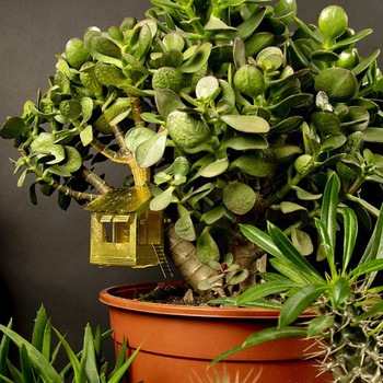 タイニーツリーハウス botanopia(ボタノピア)