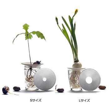 種子発芽プレート botanopia(ボタノピア)