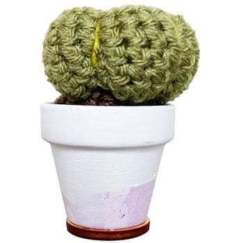 クロシェカクタス(サボテン) C Yarn Hut(シーヤーンハット)